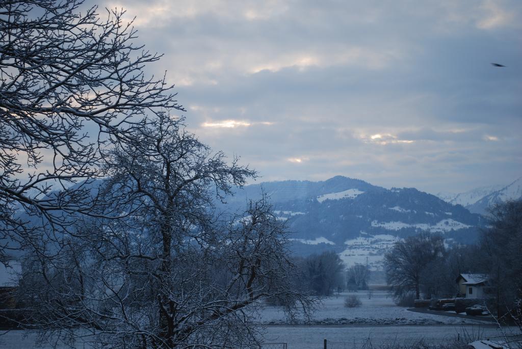 Ferienwohnung Rheintal Feldkirch Dış mekan fotoğraf
